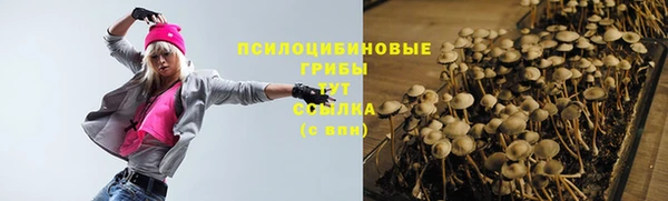 прущий лед Белокуриха
