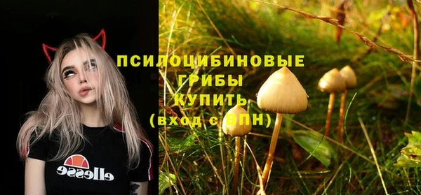 прущий лед Белокуриха